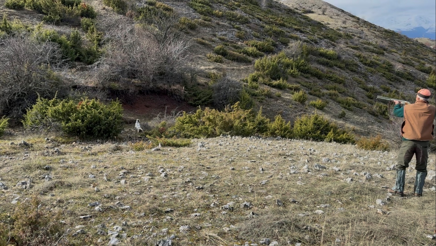 Cacciatore in azione con cane da ferma sui pendii
